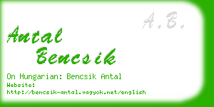 antal bencsik business card